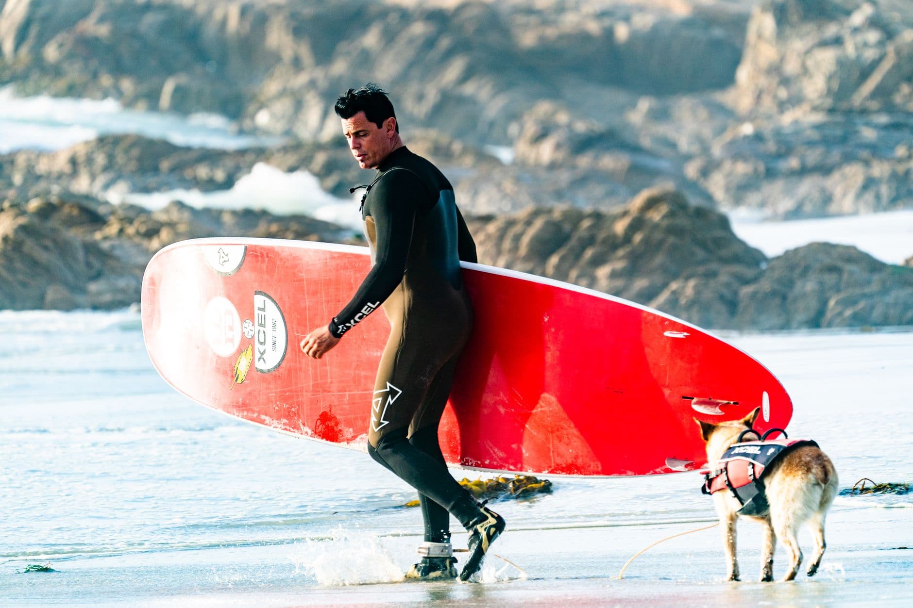Surfen mit Wohnmobil, Zelt & Hund